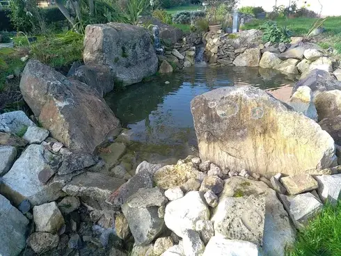 élagueur à Bagnoles-de-l'Orne - image 2
