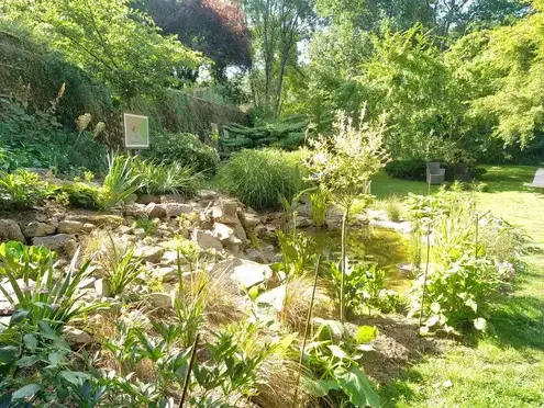 élagueur à Bagnoles-de-l'Orne - image 4