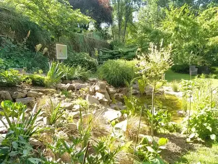 élagueur Mortagne-au-Perche-1