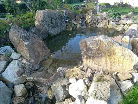 jardinier Bagnoles-de-l'Orne-5
