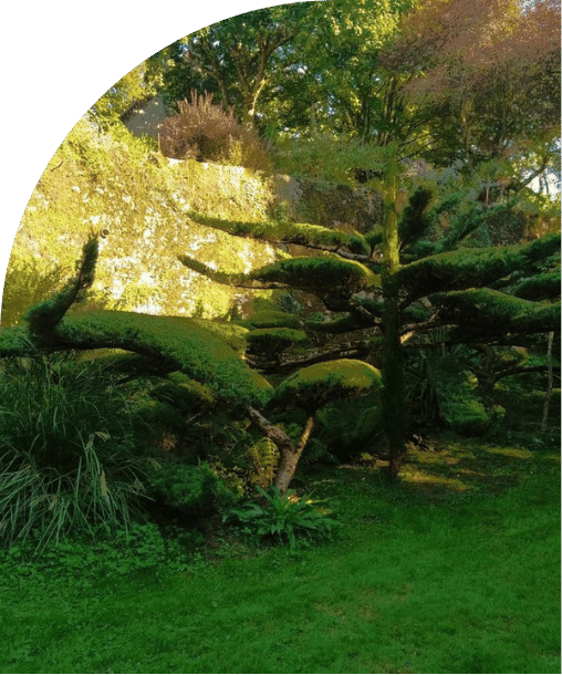 DES JARDINS PENSÉS DANS LES MOINDRES DÉTAILS